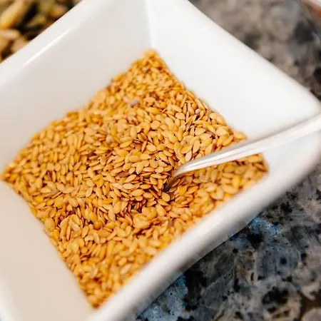 Graf Lehndorff Zur Messe Hotell München